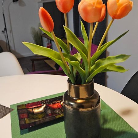 Studio Apartman Gradna ساموبور المظهر الخارجي الصورة
