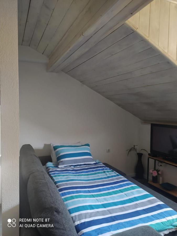 Studio Apartman Gradna ساموبور المظهر الخارجي الصورة