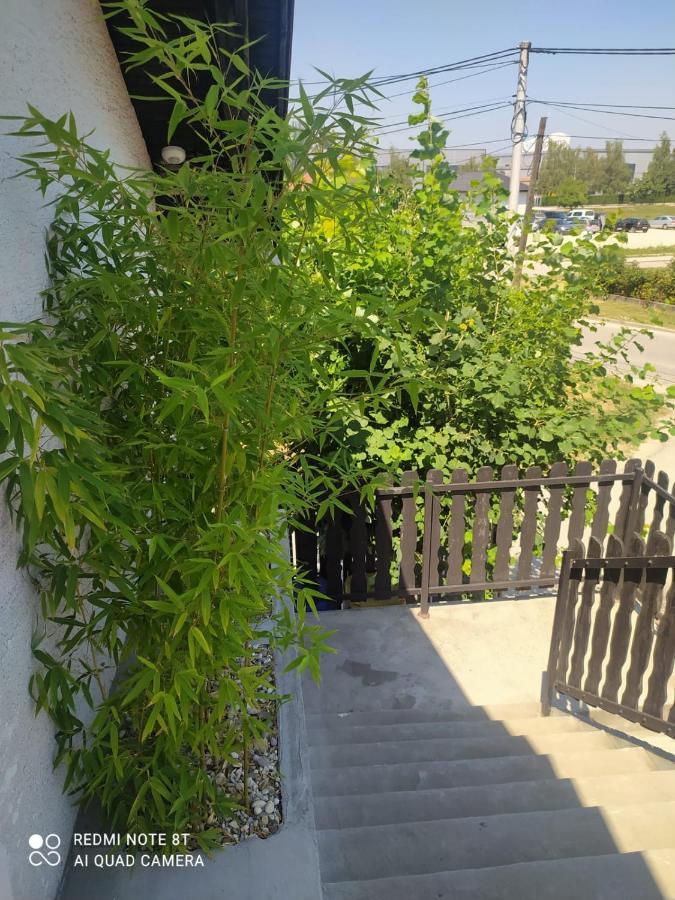 Studio Apartman Gradna ساموبور المظهر الخارجي الصورة